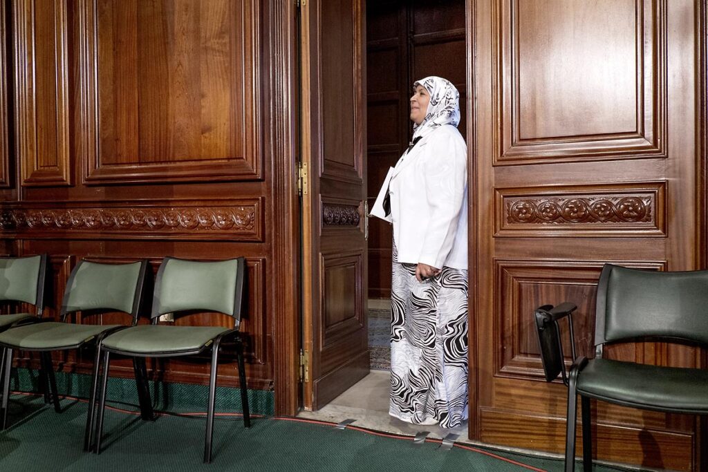Avant de rejoindre le perchoir de l'ANC, Maherzia Labidi, députée de l'Assemblée Nationale Constituante, élue Ennahdha en octobre 2011 dans la circonscription de France1. Le 22 novembre 2011, elle accède à la première vice-présidence de l'assemblée.
