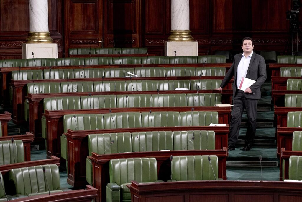 Iyed Dahmani, député du PDP à l'ANC. C'est en se rendant en France en 2001, pour suivre des études universitaires, qu'il fait son apprentissage de la politique au sein de la gauche tunisienne. En 2007, il intègre le Parti démocrate progressiste. Suite à la révolution de 2011 il revient en Tunisie et se met à préparer la campagne électorale pour l'élection de l'assemblée constituante, à laquelle il est candidat dans la circonscription de Siliana, sa région natale.